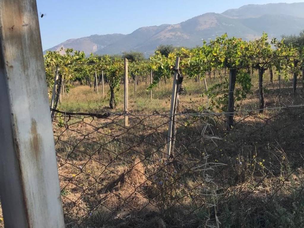 Terreno a Cori in Contrada Cervinara - Foto 2