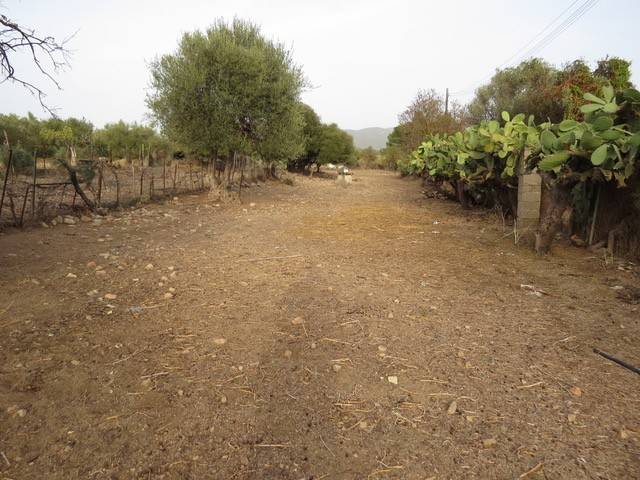 Terreno a Quartu sant'elena - Foto 1