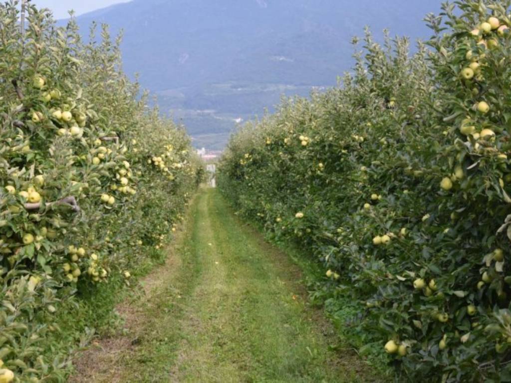 Terreno a Trento in Via della Gotarda - Foto 2