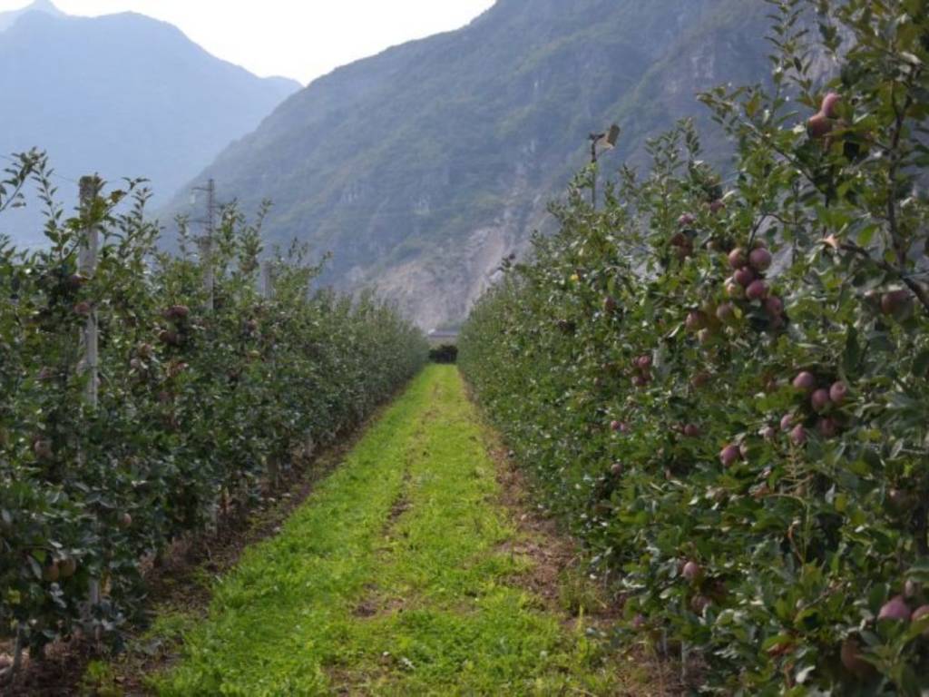 Terreno a Trento in Via della Gotarda - Foto 3