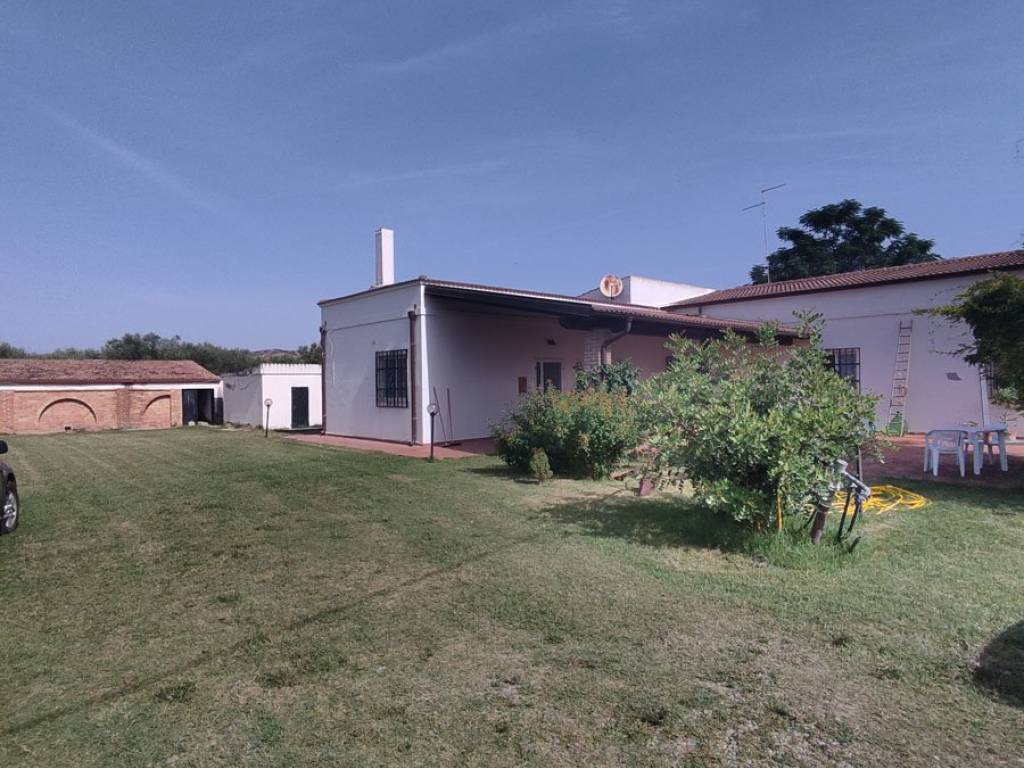 Terreno a Bernalda in contrada accio sottano - Foto 2
