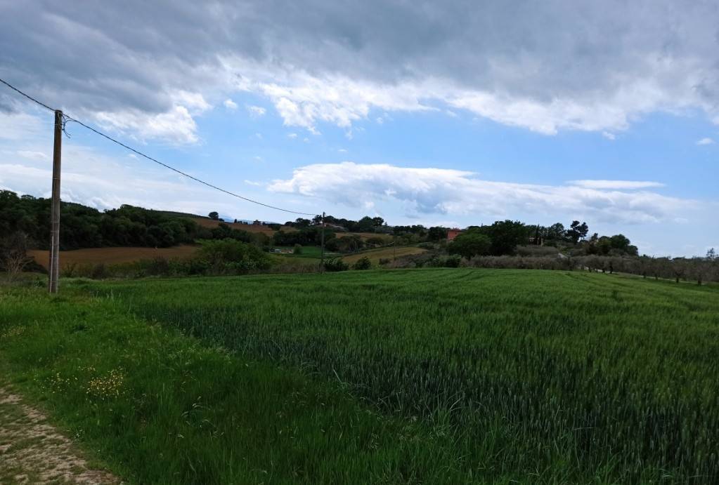 Terreno a Castiglione del lago - Foto 2