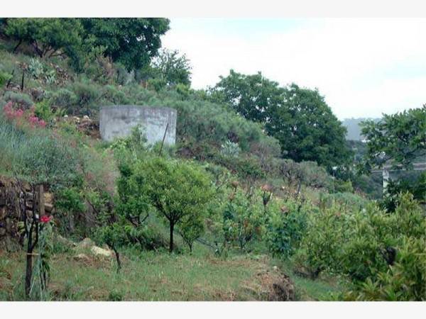 Terreno a Bordighera - Foto 4