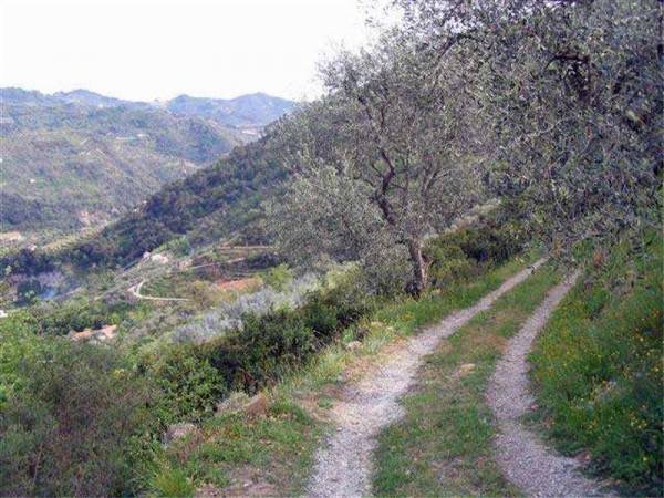 Terreno a Dolceacqua - Foto 2