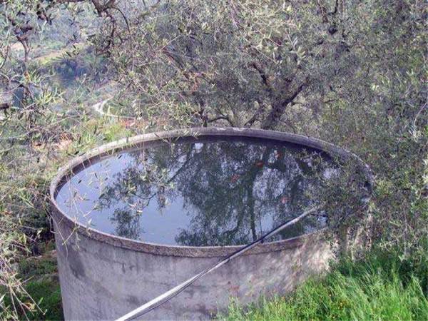 Terreno a Dolceacqua - Foto 4