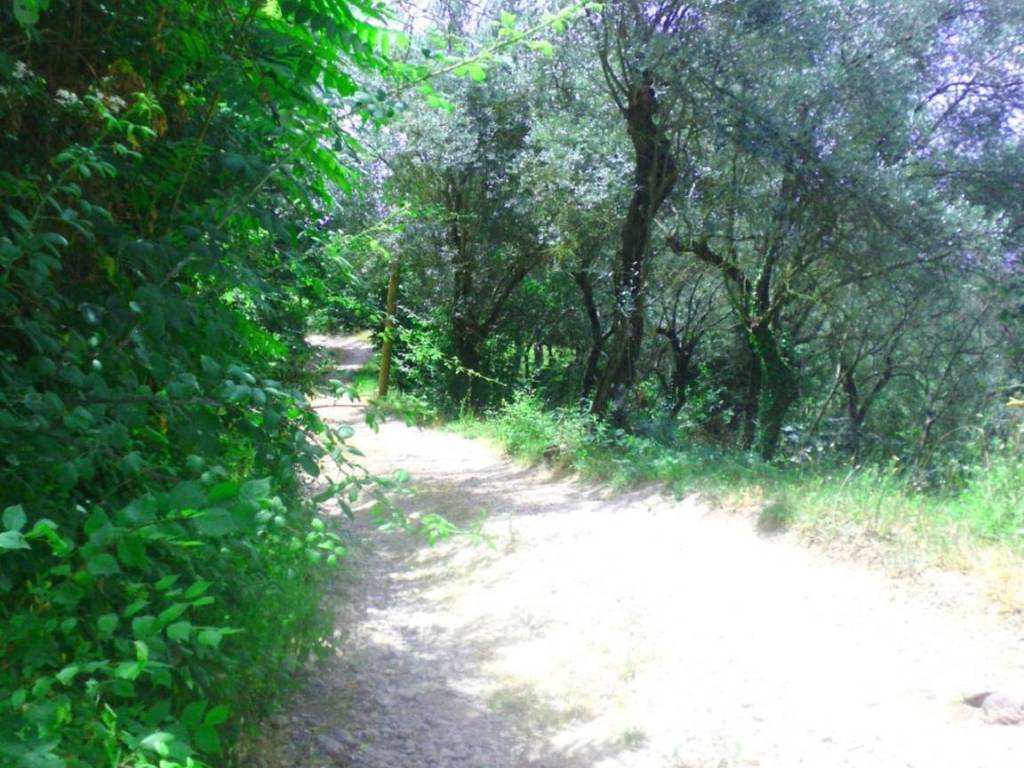 Terreno a Giffoni valle piana in Ornito s.n.c - Foto 2