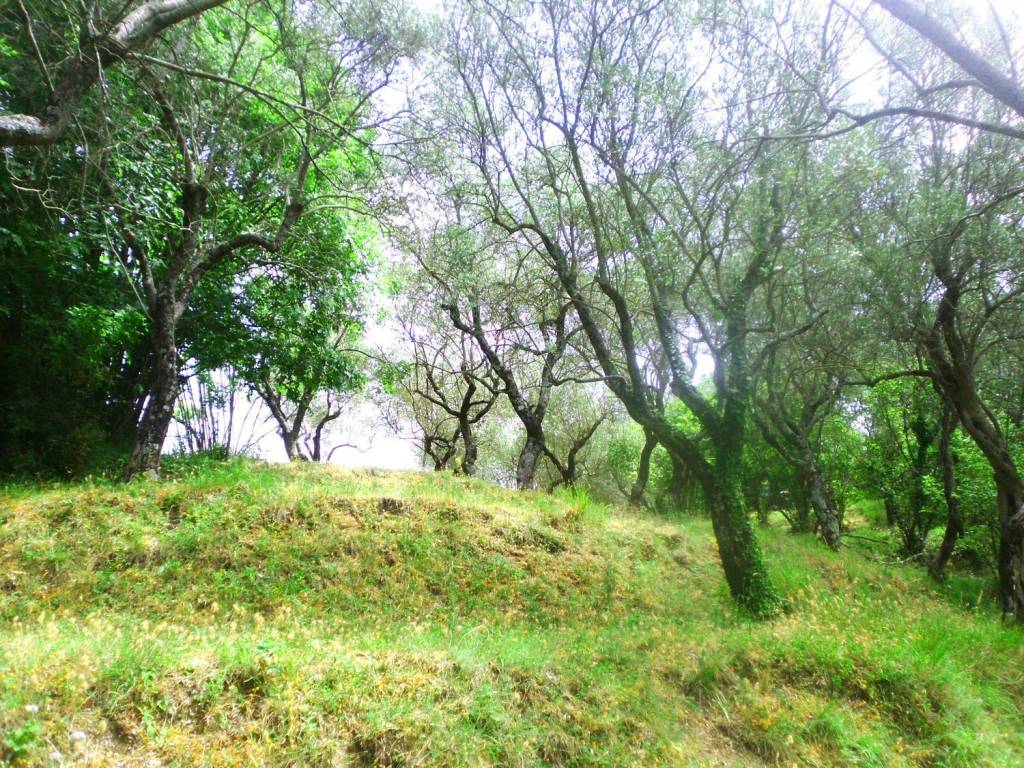Terreno a Giffoni valle piana in Ornito s.n.c - Foto 5