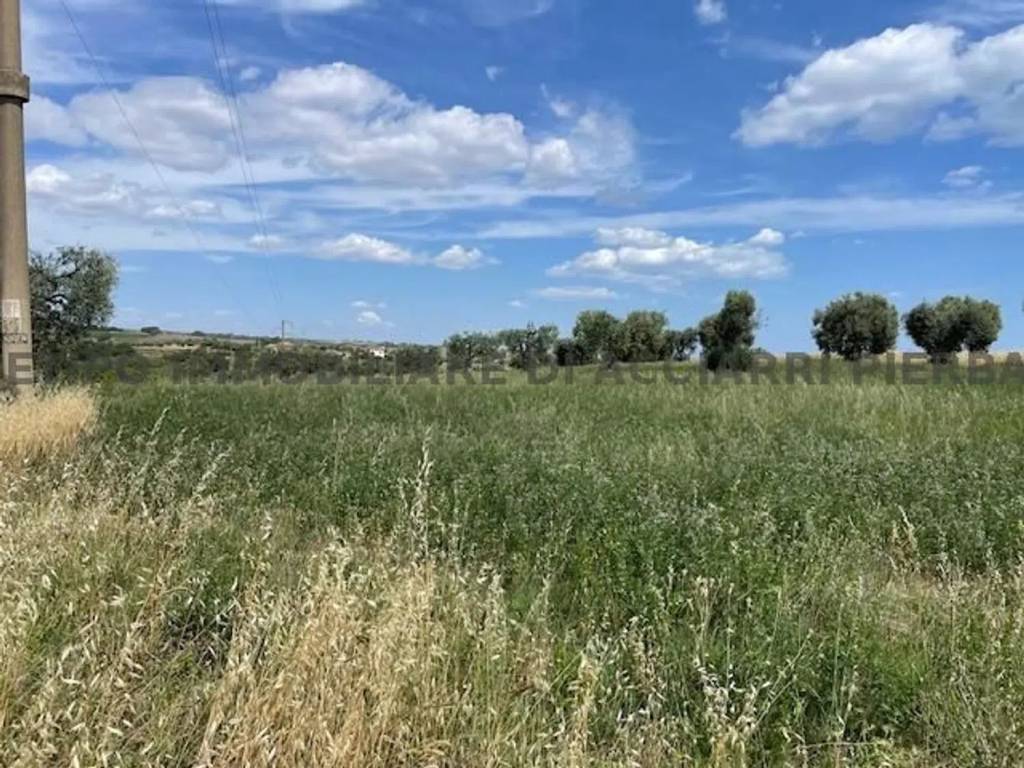 Terreno a Cupra marittima in Via Adriatica Sud - Foto 3