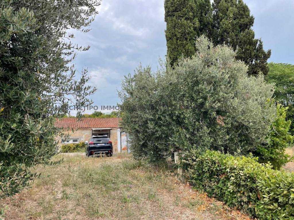 Terreno a Cupra marittima in Contrada Boccabianca - Foto 2