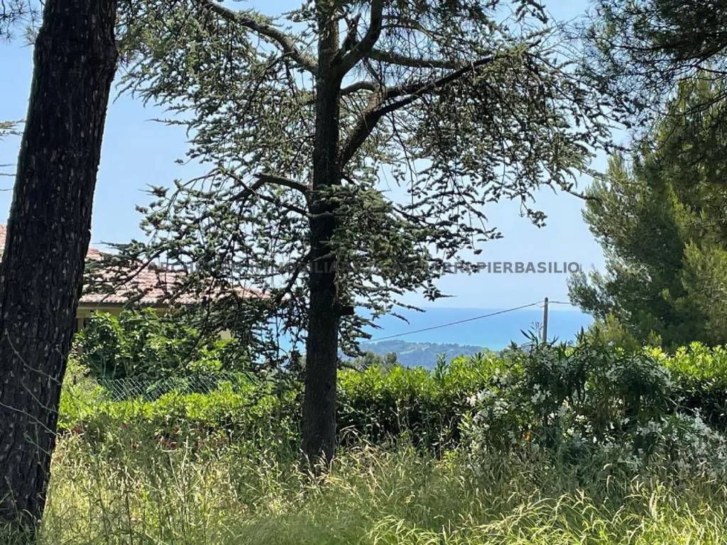 Villa a Ripatransone - Foto 3