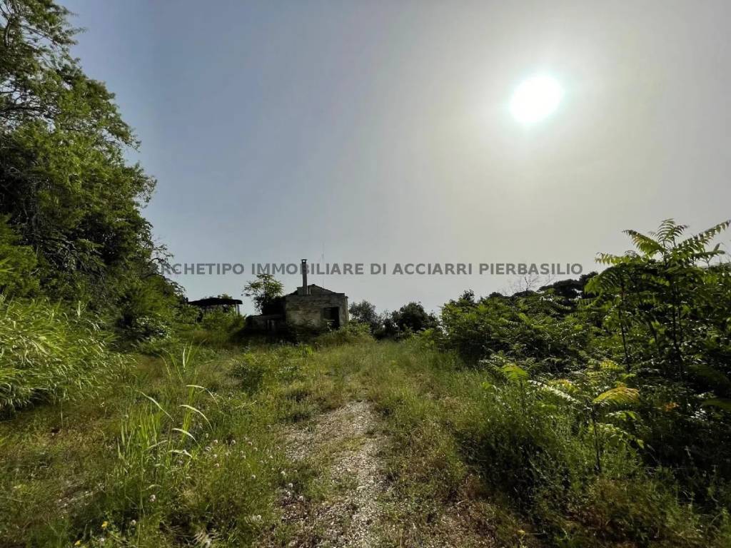 Villa a Cupra marittima in Via Adriatica Sud - Foto 4