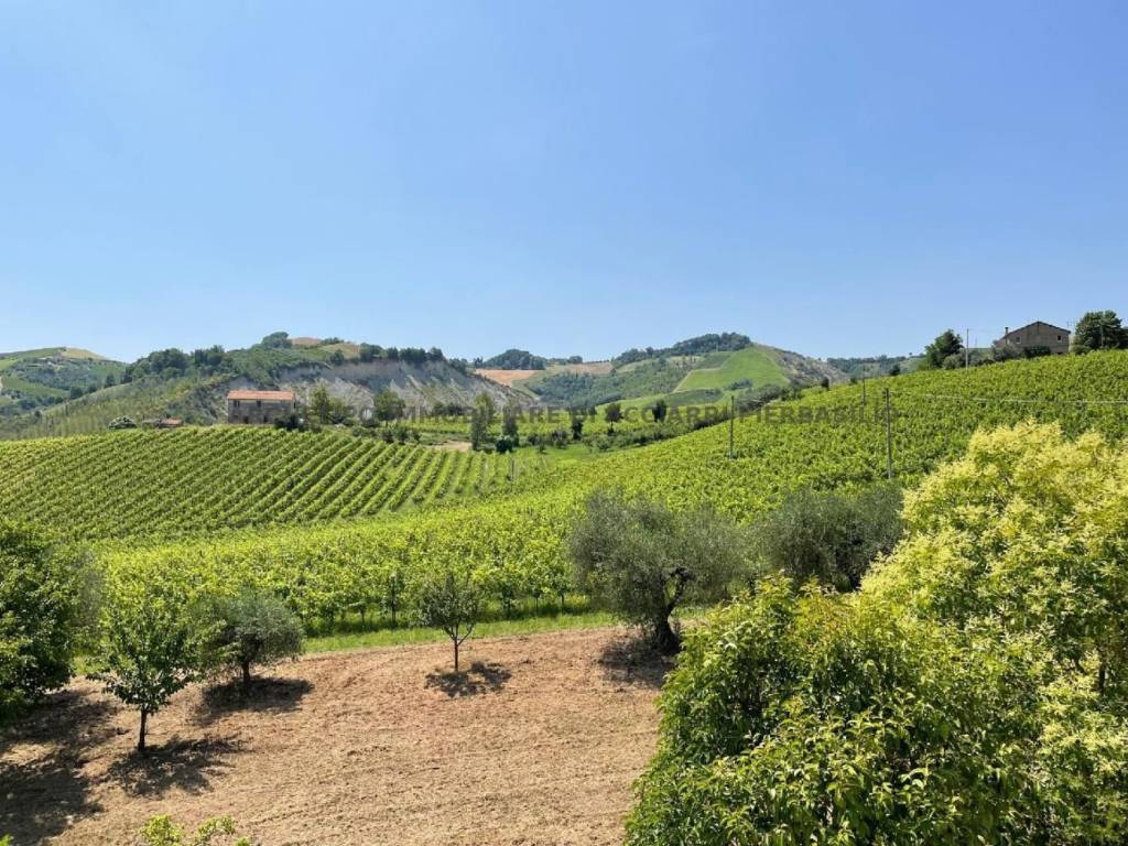 Villa a Ripatransone in Contrada Gozzana - Foto 5