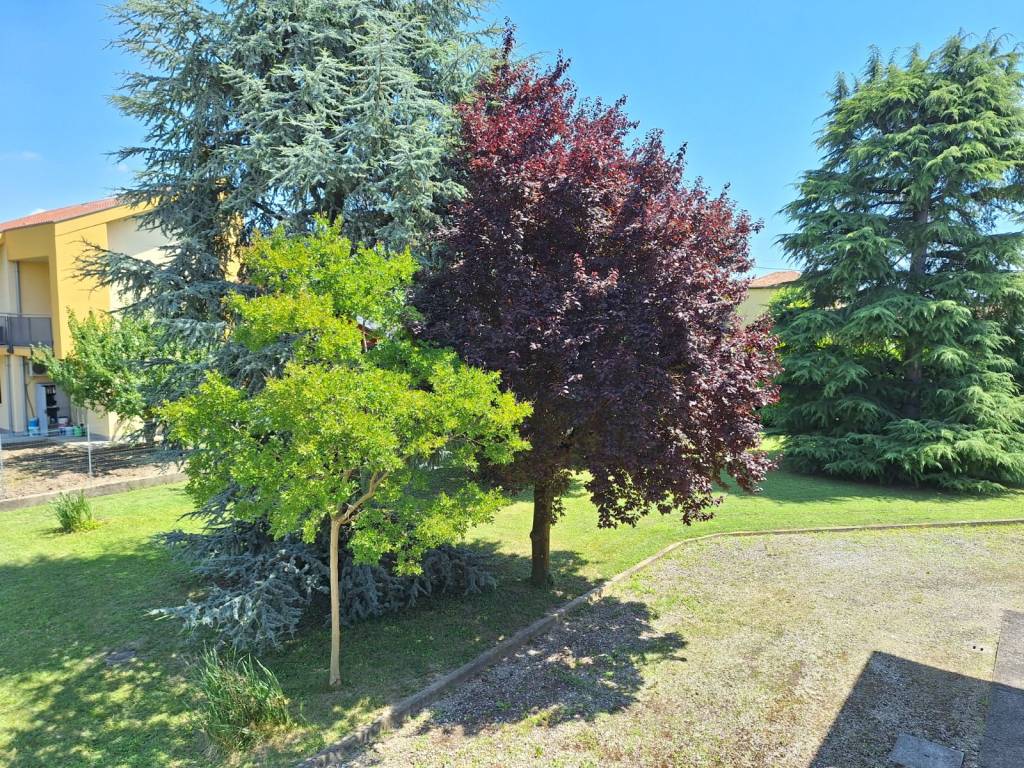 Villa a Venezia in Via Sant'Elena - Foto 2