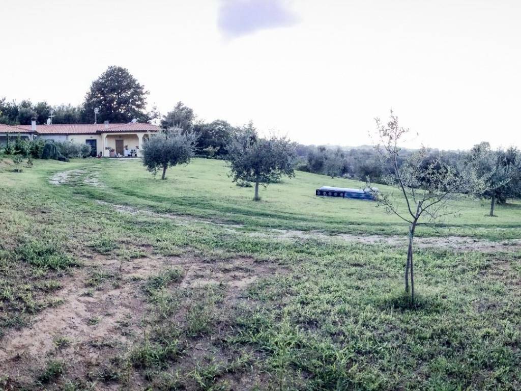 Villa a Bassano romano in Strada per Trevignano - Foto 3
