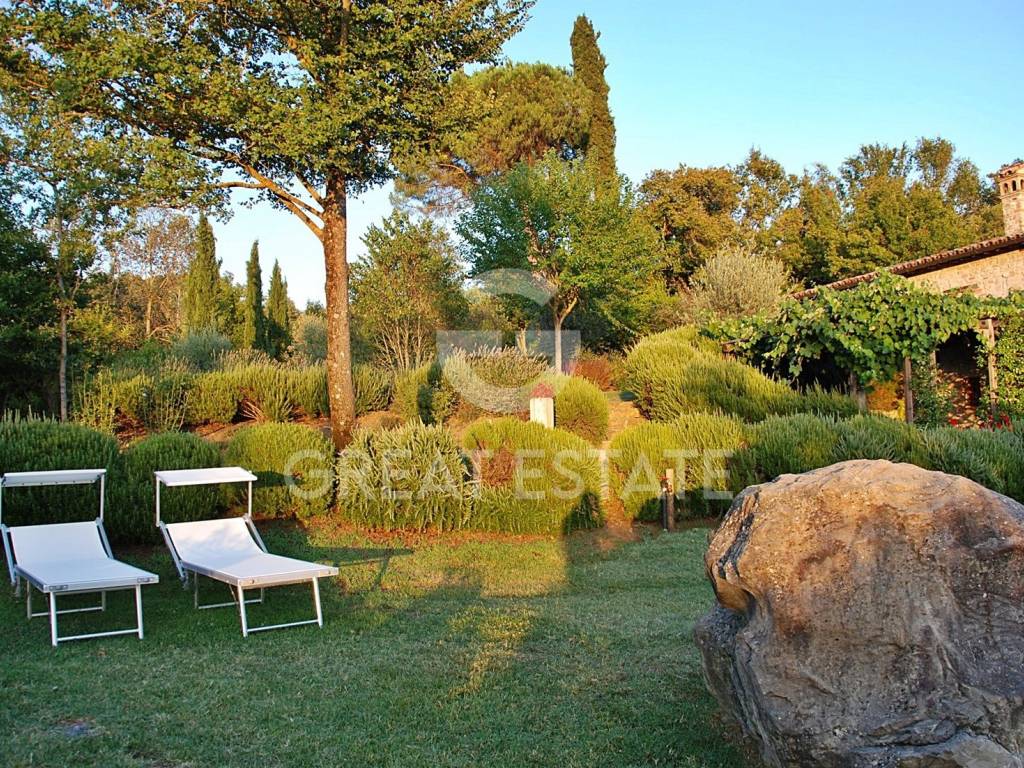 Rustico / casale a Todi - Foto 5