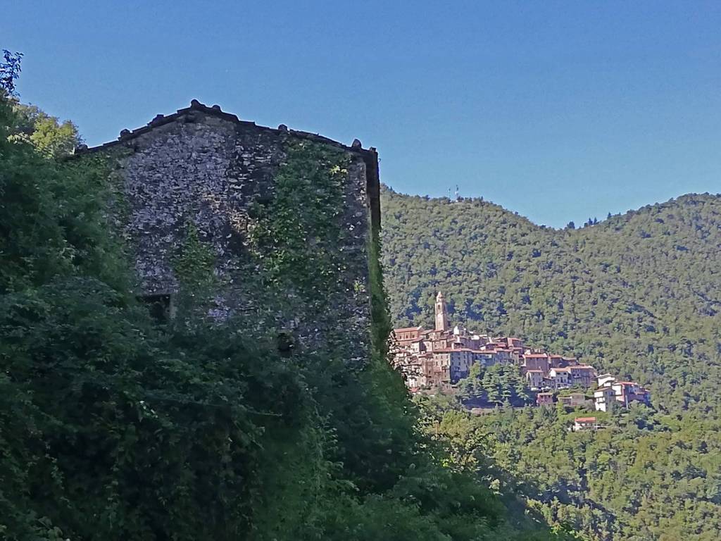 Rustico / casale a Castel vittorio in SP65 - Foto 4