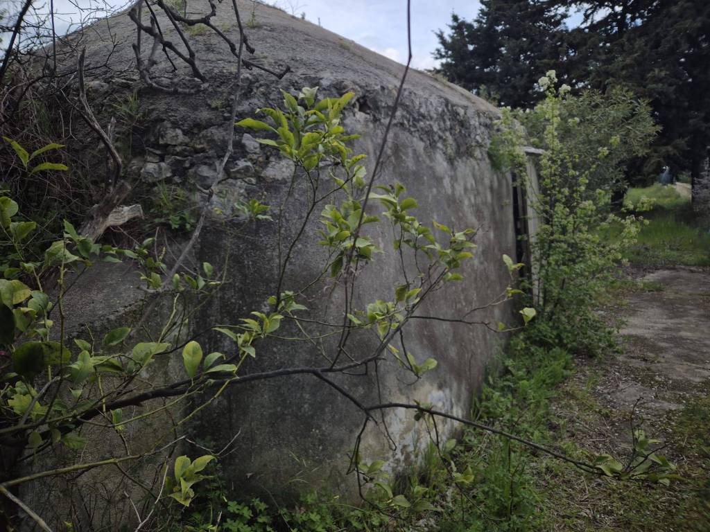 Terreno a Trani in Strada Statale Adriatica, 16 - Foto 2