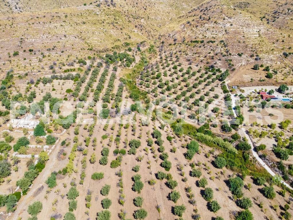 Terreno a Avola in Contrada Bochini Fiumarella - Foto 3