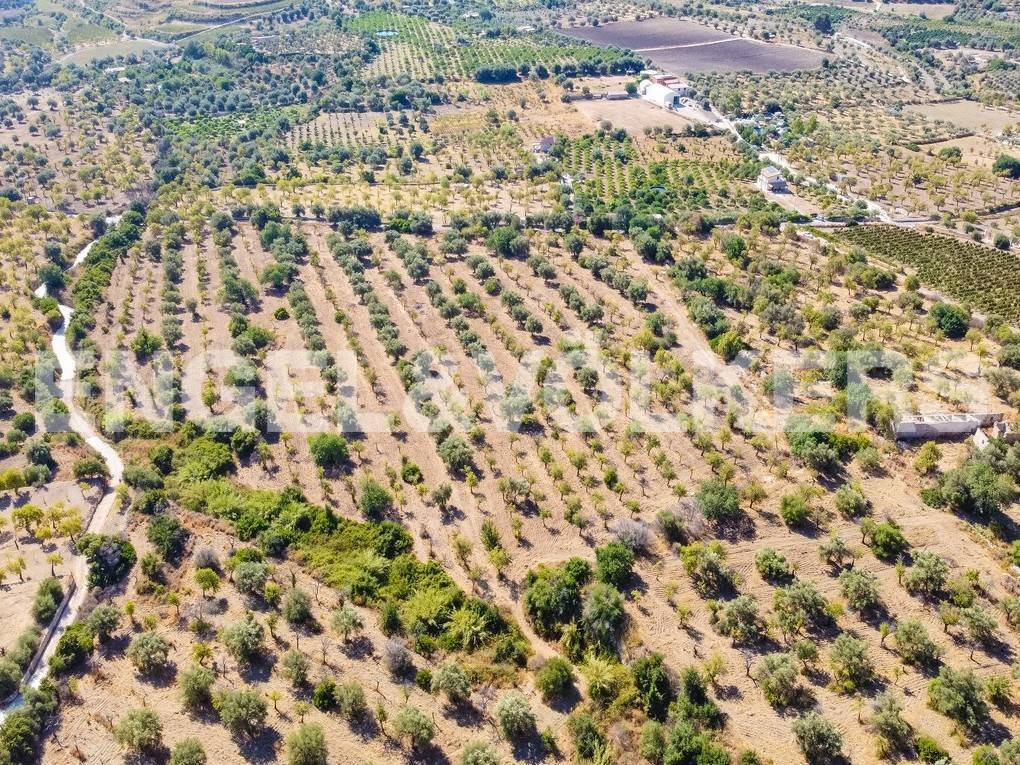 Terreno a Avola in Contrada Bochini Fiumarella - Foto 4