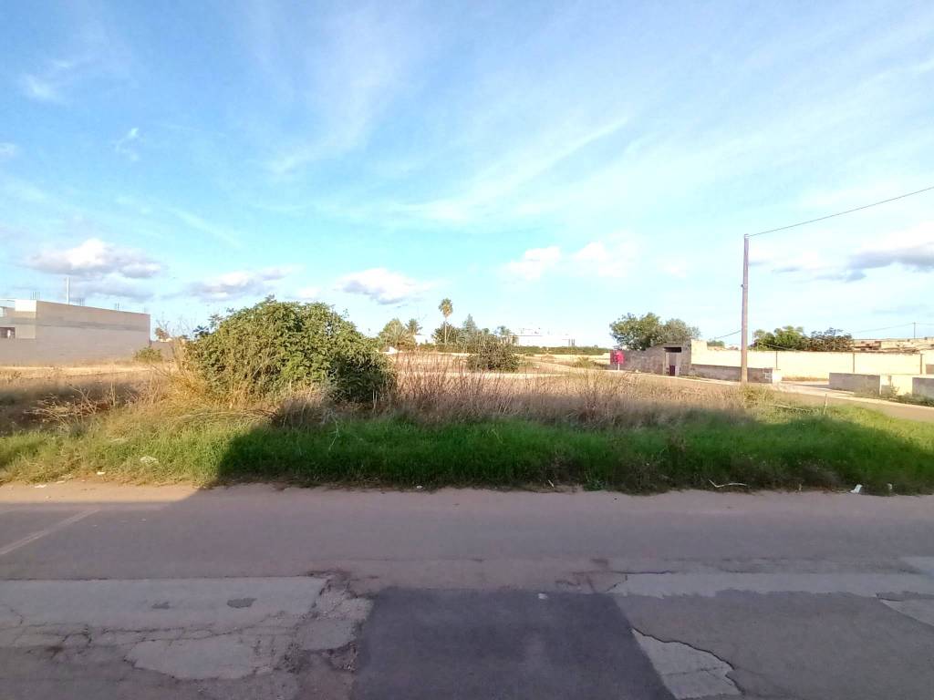 Terreno a Montesano salentino in Via Don Luigi Sturzo - Foto 3