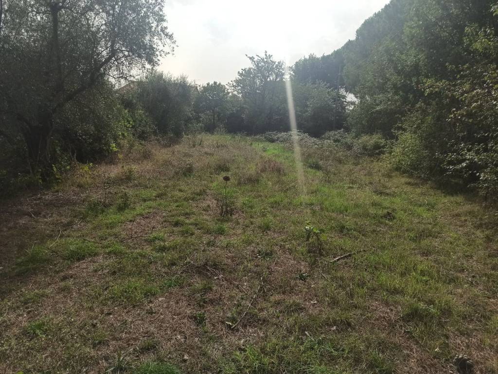 Appartamento a Castiglione del lago - Foto 2