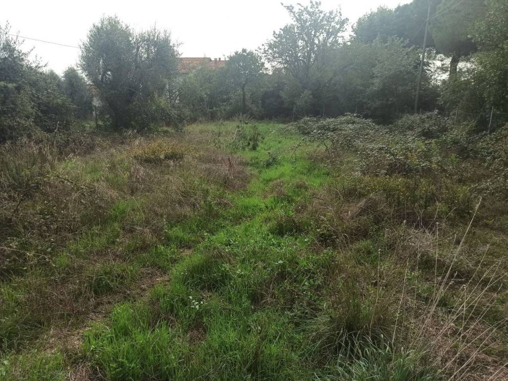 Appartamento a Castiglione del lago - Foto 3
