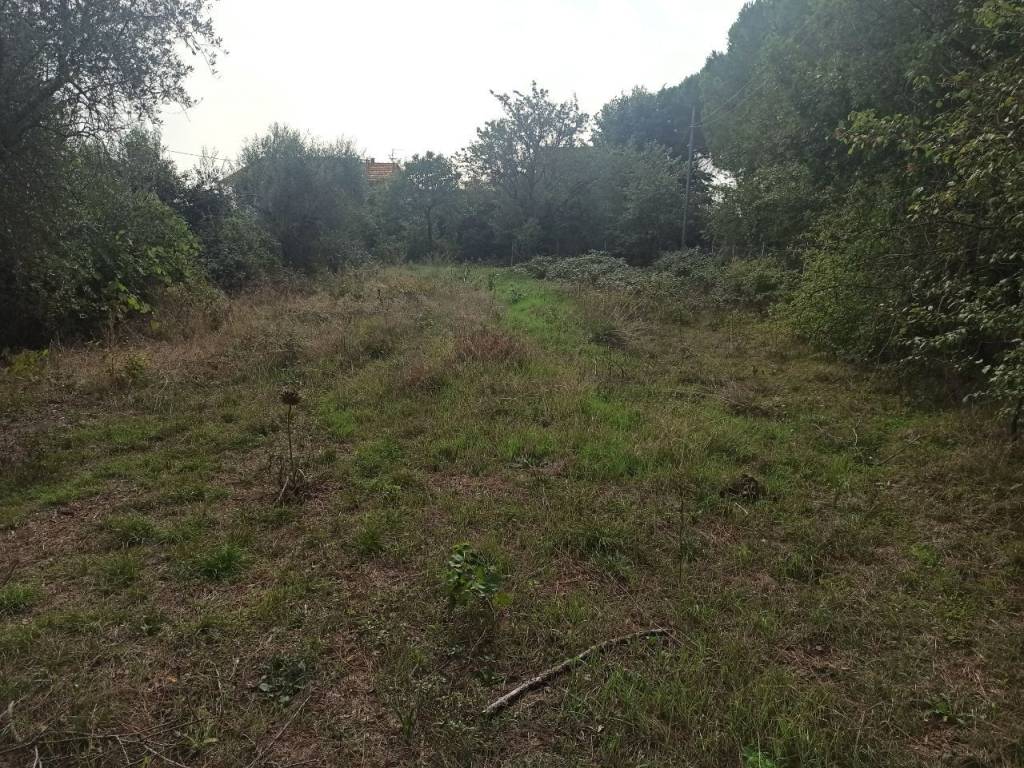 Appartamento a Castiglione del lago - Foto 4
