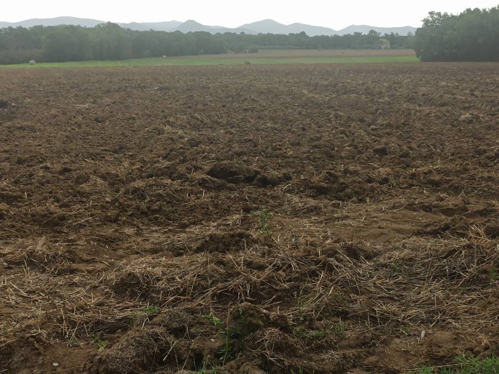Appartamento a Castiglione del lago - Foto 5