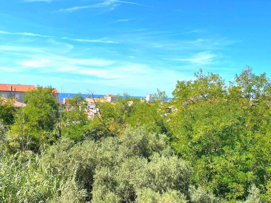 Appartamento a Belvedere marittimo in Via Giuseppe Petrellis - Foto 2