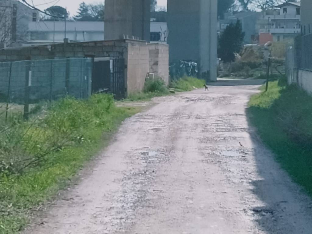Terreno a Spoltore in Via Fonte Vecchia - Foto 2
