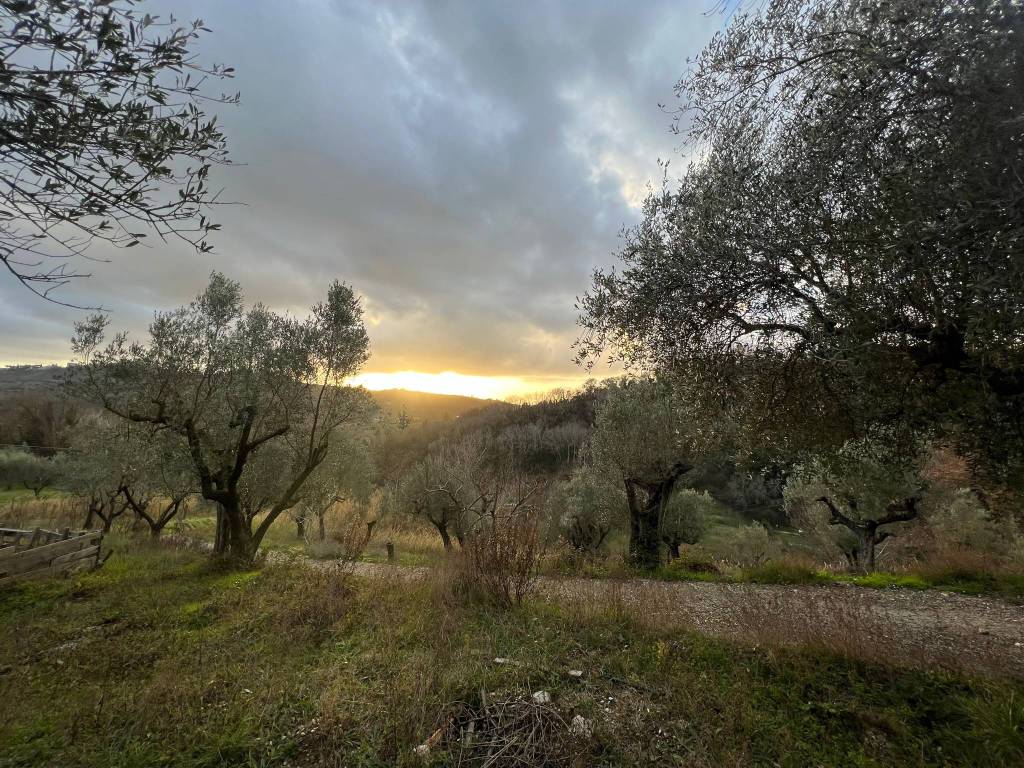 Rustico / casale a Montopoli di sabina in Via Piedimonte - Foto 5