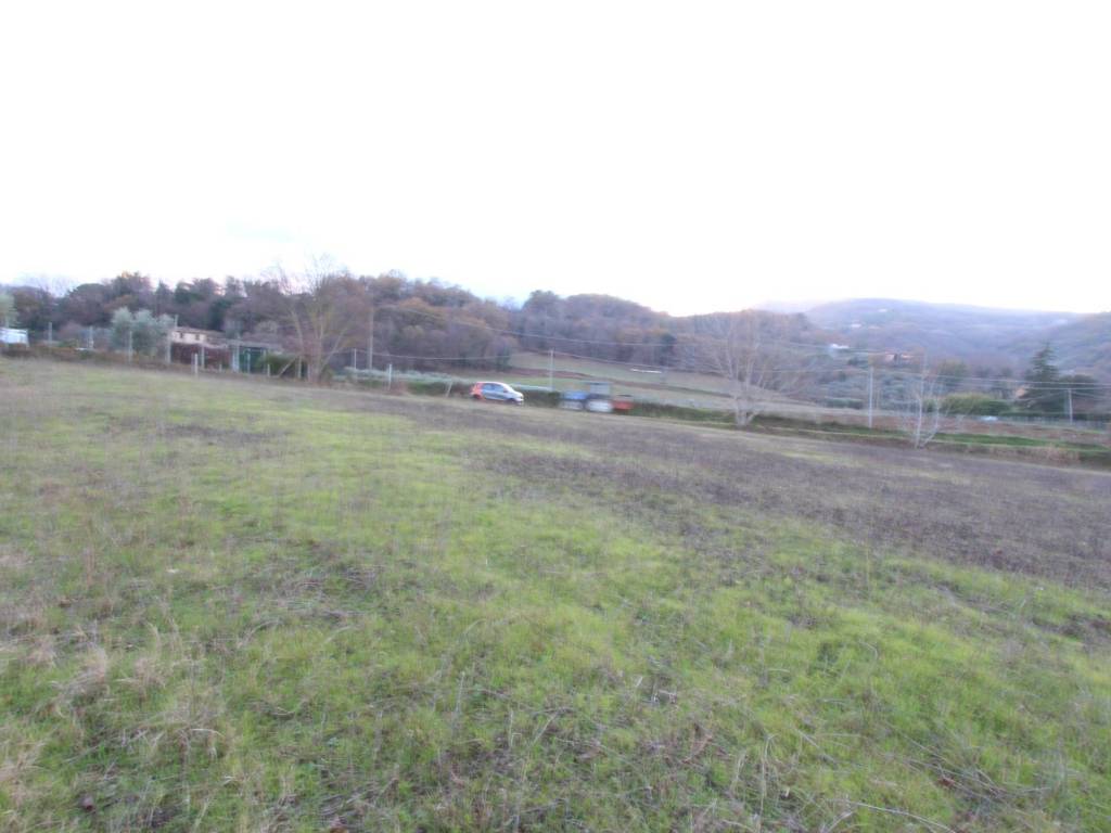 Terreno a Ascoli piceno in Frazione Cavignano - Foto 4