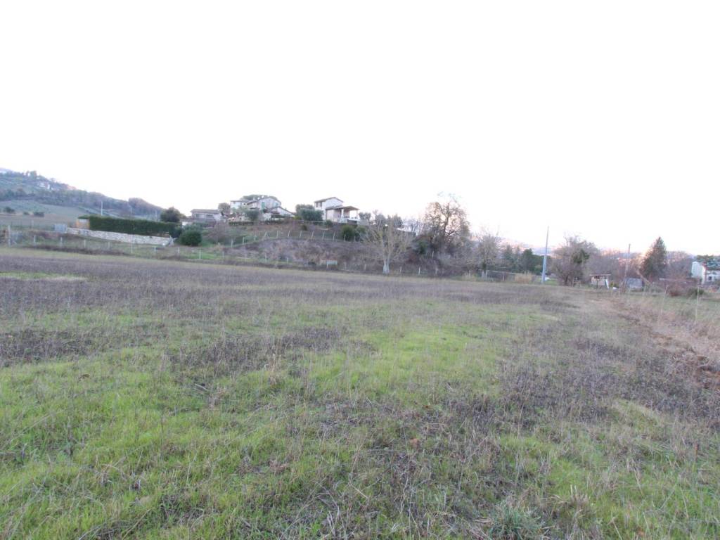 Terreno a Ascoli piceno in Frazione Cavignano - Foto 5