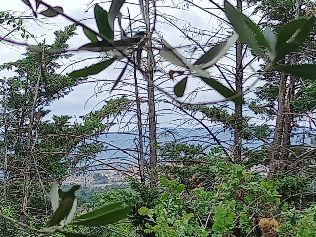 Terreno a Spello in Via Ponte Parasacco - Foto 2