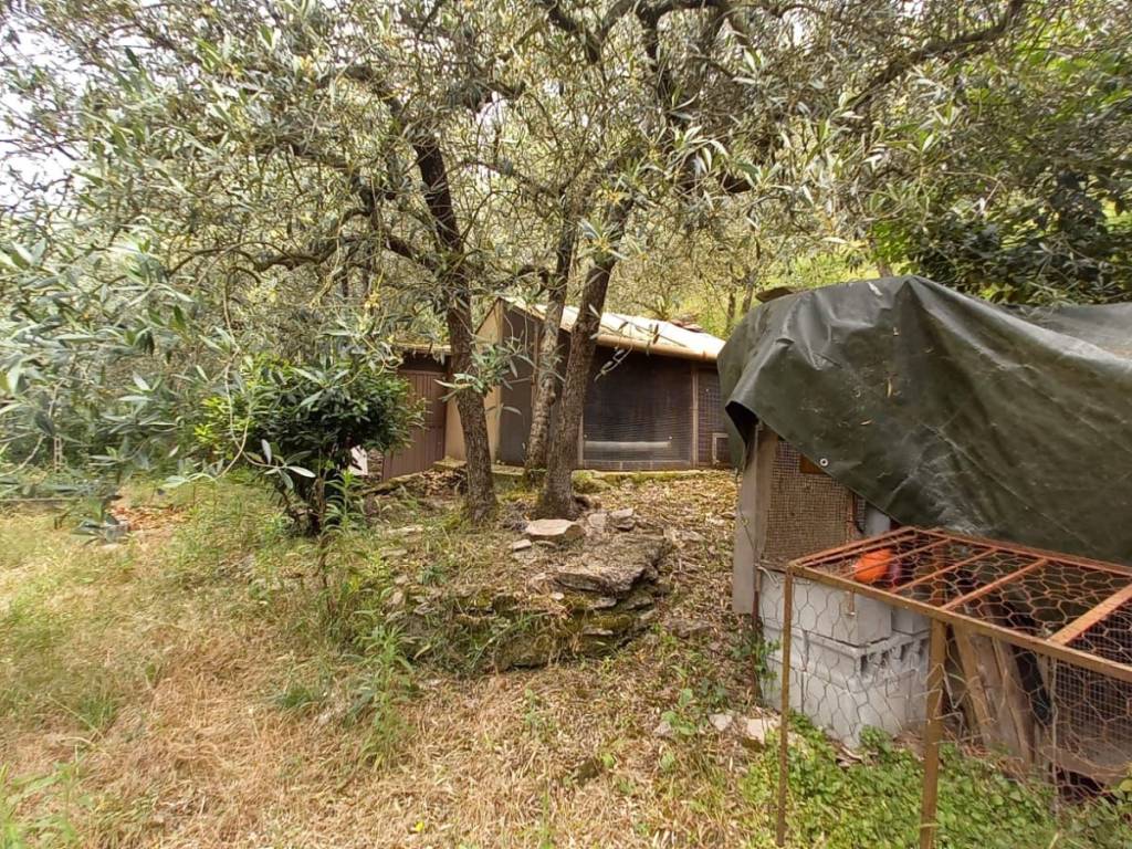 Terreno a Spello in Via Ponte Parasacco - Foto 3