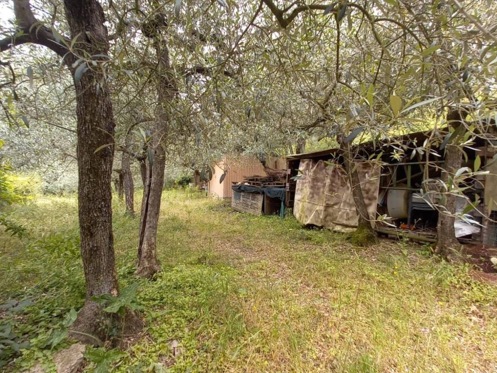Terreno a Spello in Via Ponte Parasacco - Foto 4