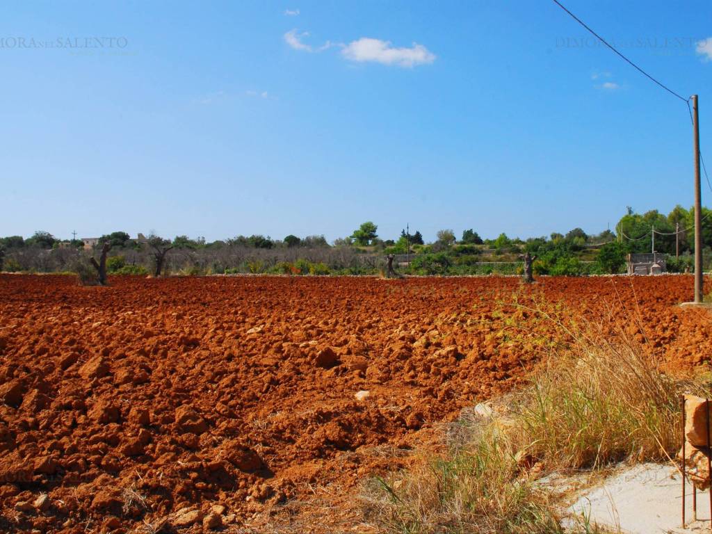 Terreno a Salve in Contrada Fani - Foto 3