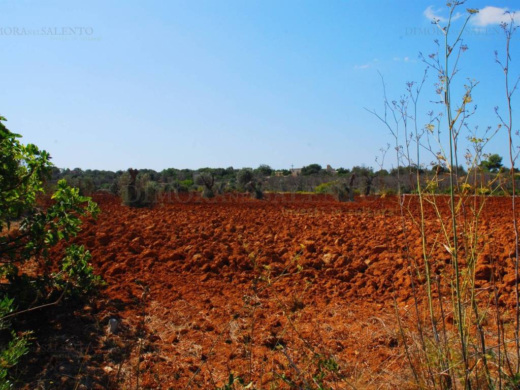 Terreno a Salve in Contrada Fani - Foto 4