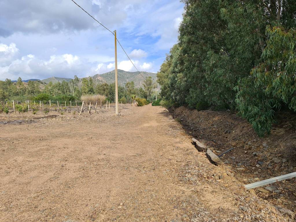 Terreno a San vito in Strada Statale Orientale Sarda - Foto 4