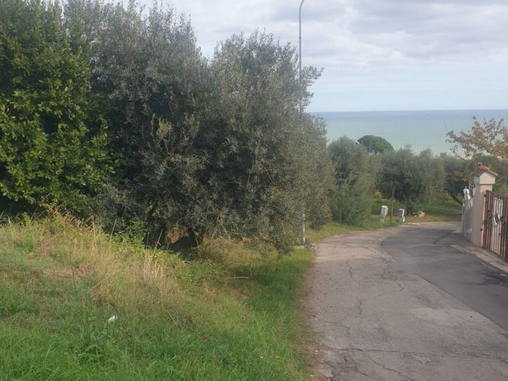 Terreno a Silvi in Contrada San Silvestro, 72 - Foto 4