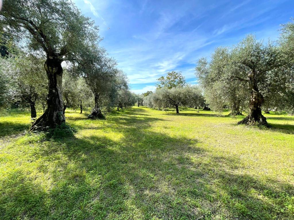 Terreno a Caserta in Via Corrivo - Foto 2