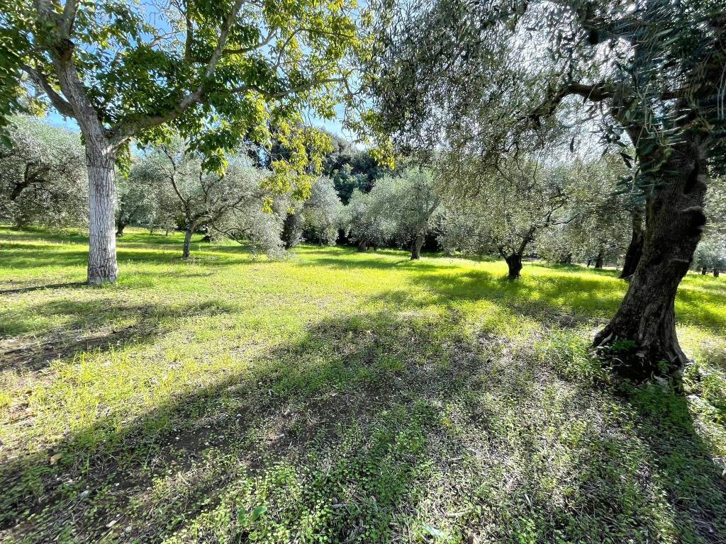 Terreno a Caserta in Via Corrivo - Foto 4