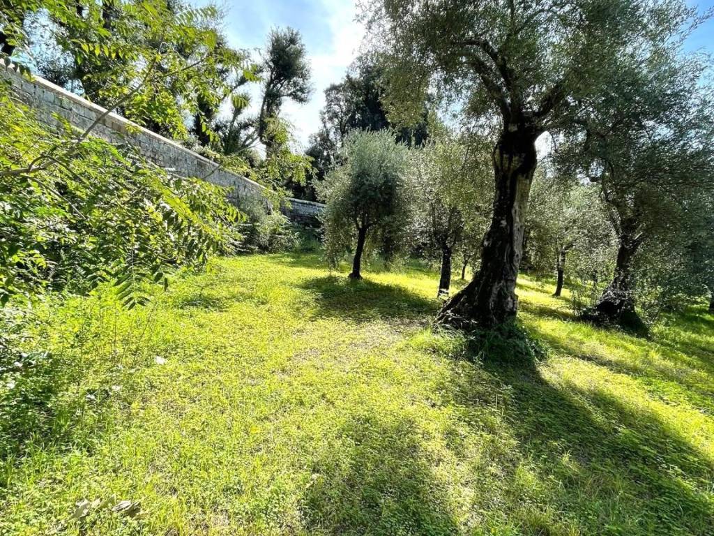 Terreno a Caserta in Via Corrivo - Foto 5