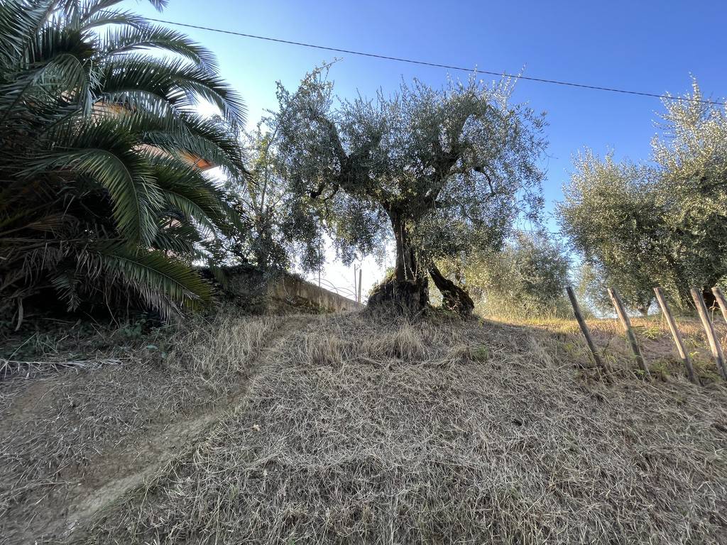 Rustico / casale a Castiglione del lago in Via della Vittoria - Foto 3