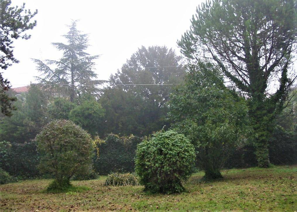 Terreno a Alfonsine - Foto 3