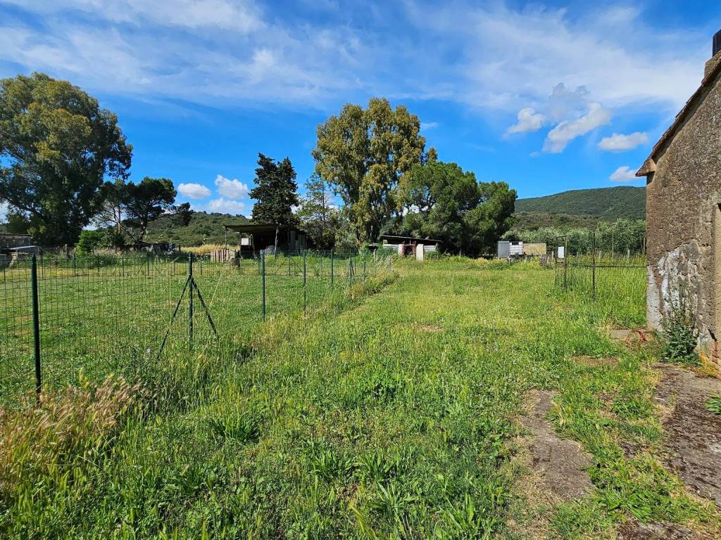 Rustico / casale a Castiglione della pescaia in ampio - Foto 3