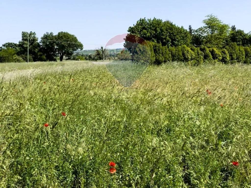 Terreno a Monte roberto in Strada Provinciale - Foto 5