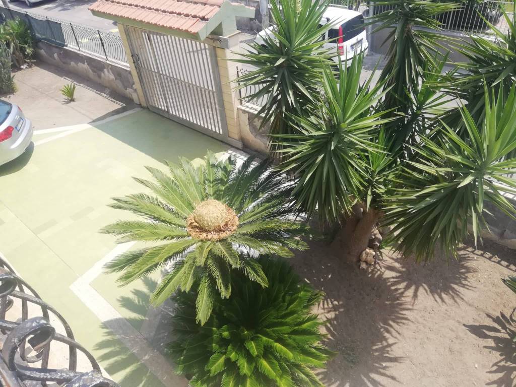 Appartamento a Augusta in Via delle Palme - Foto 5