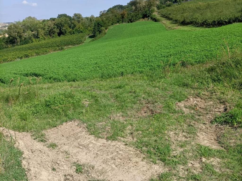 Terreno a Brisighella in Via Lame - Foto 5