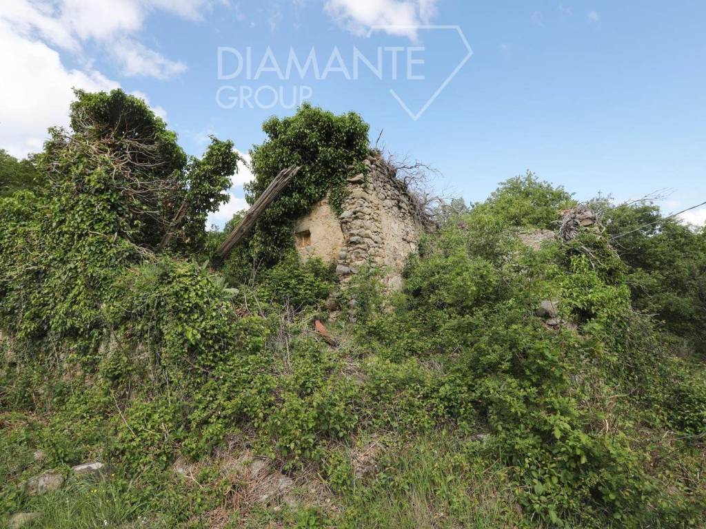 Rustico / casale a Castel del piano - Foto 4